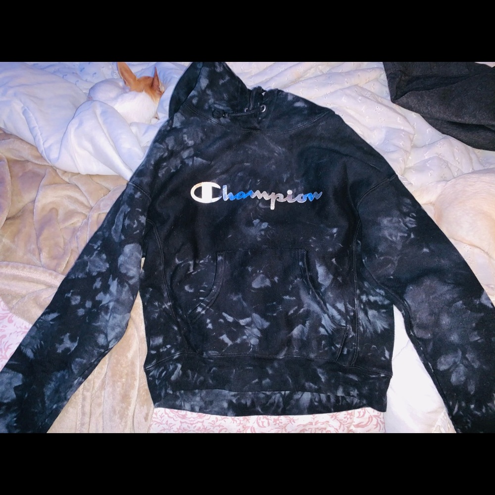 Champion sweatshirt